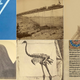 Illustration for article titled 11 Amazing Historical Snapshots From One of the Worlds Best Archives